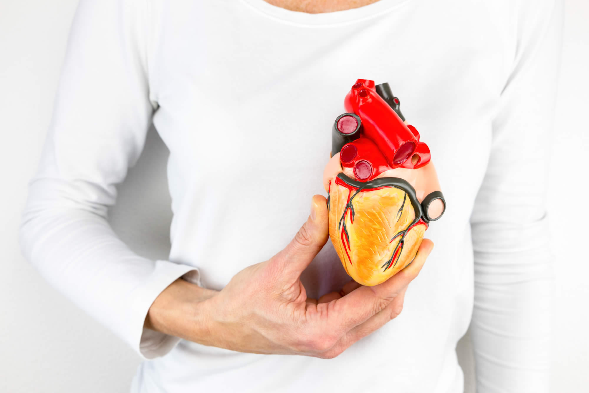 تتوقف الزياده في معدل ضربات القلب على عاملين