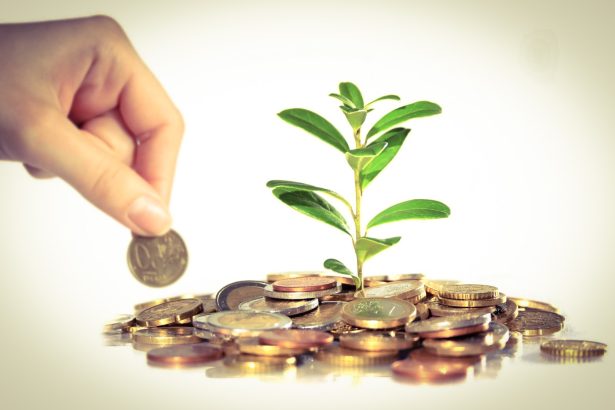 تكلفة عملية تغيير الصمام الميترالي